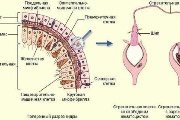 Кракен сайт наркотиков