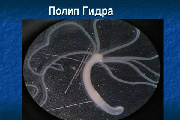Кракен даркнет зеркало