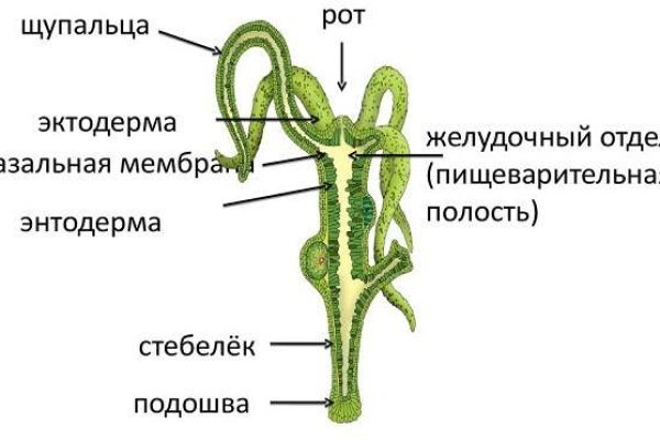 Ссылки tor кракен