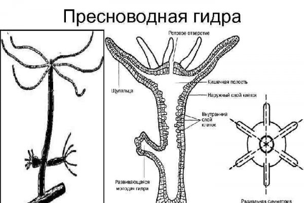 Кракен гидра сайт