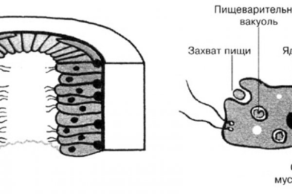 Зеркало на кракен
