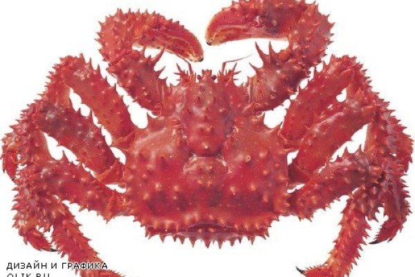 Kraken forum