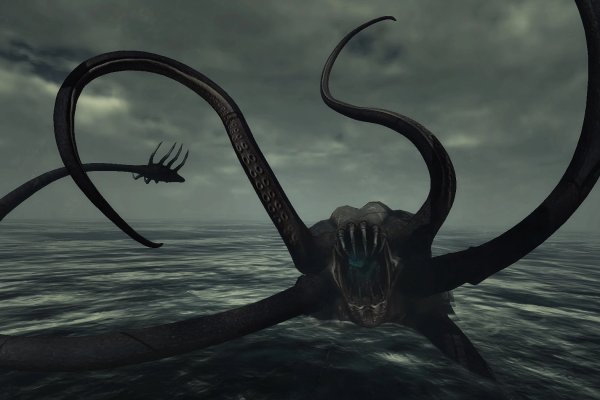 Kraken настоящая ссылка