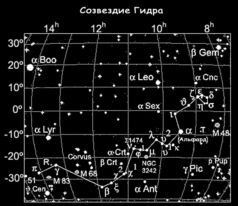 Рабочий кракен