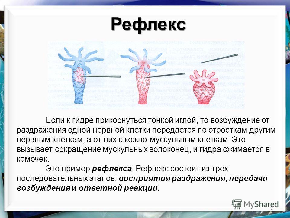 Кракен даркнет только через тор скачать